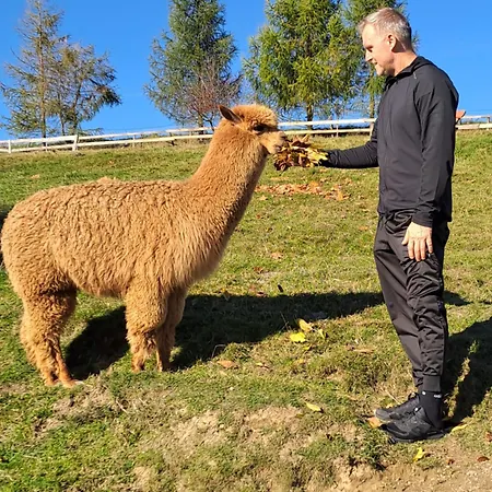 Zapiecek Drewniana Rustykalna Babci Ludwiki Dom wakacyjny