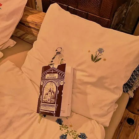 別荘 Zapiecek Drewniana Rustykalna Babci Ludwiki